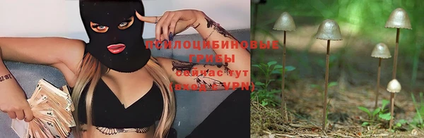 a pvp Слюдянка