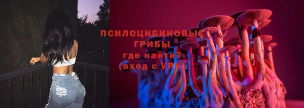 гидра Армянск