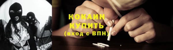 мяу мяу мука Аркадак
