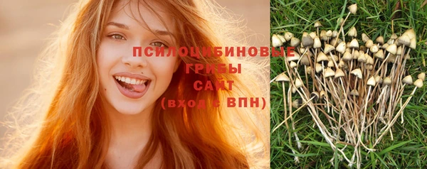 МДМА Арсеньев