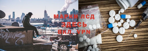 мяу мяу мука Аркадак