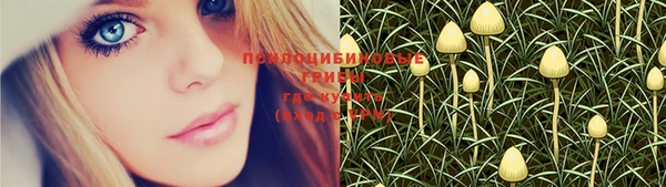 мяу мяу мука Аркадак